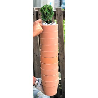 Bộ 10 chậu đất nung trồng xương rồng sen đá Rộng 14 cm x Cao 13 cm
