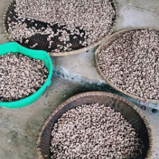 Hạt điều rang muối Bình Phước loại A