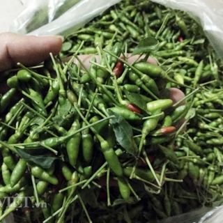 Ớt xiêm rừng mọc tự nhiên (1kg ớt xiêm rừng)