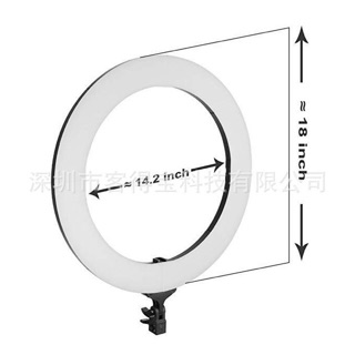 combo 3 ghế bản rộng