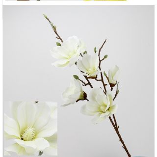 Mộc lan cao su 5 bông cành dài 100cm