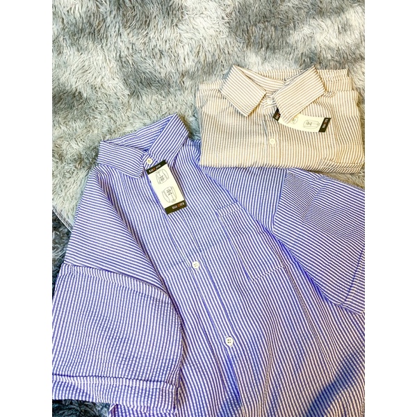 [SIEU SALE] Sơ mi kẻ tay lỡ cổ sơ mi 2 màu be-xanh (hàng có sẵn) | BigBuy360 - bigbuy360.vn