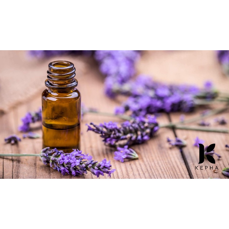 Tinh Dầu Xông Phòng, Khử Mùi Oải Hương ( Lavender ) CODE DECO 10ml