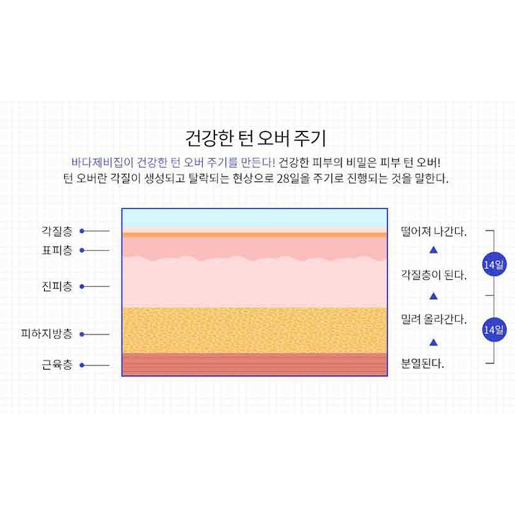 (hàng Mới Về) Bộ Mỹ Phẩm Chăm Sóc Da Từ Hàn Quốc Chất Lượng Cao Shipping from Korea