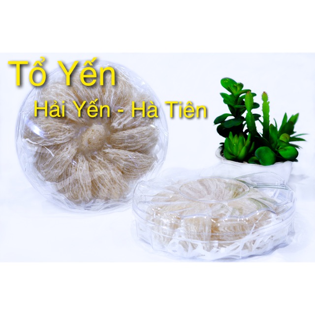 Yến sào Hải yến hà tiên .( là yến nhà em nuôi nên e chỉ cung cấp duy nhất 2 loại yến thô nguyên tổ & yến tinh chế