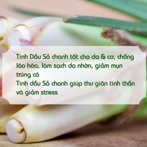 10ML Tinh Dầu Xông Mặt Sả Chanh Thư Giãn, Sạch Da