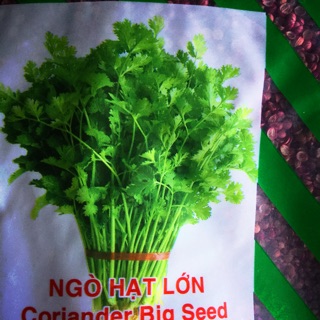 Hạt ngò - rau mùi 1kg