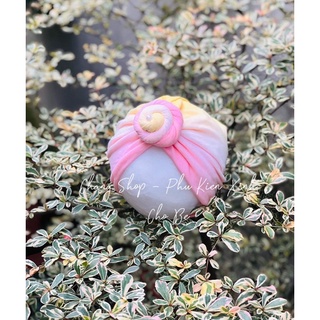 Mũ turban dễ thương cho bé