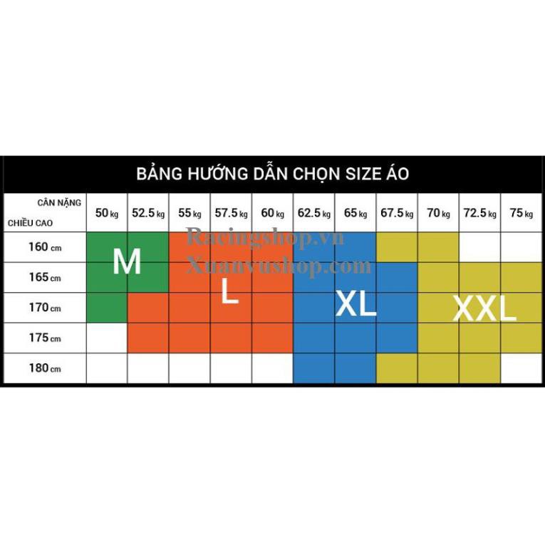 [ Áo Tem Xe ]  Áo Thun Vario 3D Cotton 4 chiều 100% T-Shirt Racing Team - Bảo Hành Bung Tróc Vĩnh Viễn ་ ྇