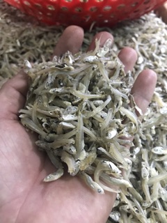Cá cơm sữa | Cá Cơm Khô 500gram