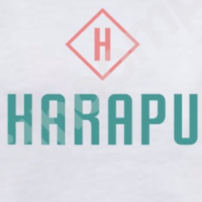 Áo đôi cặp, Áo sơ mi nam nữ