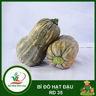 Hạt giống Bí đỏ hạt đậu RD 35 - 1g