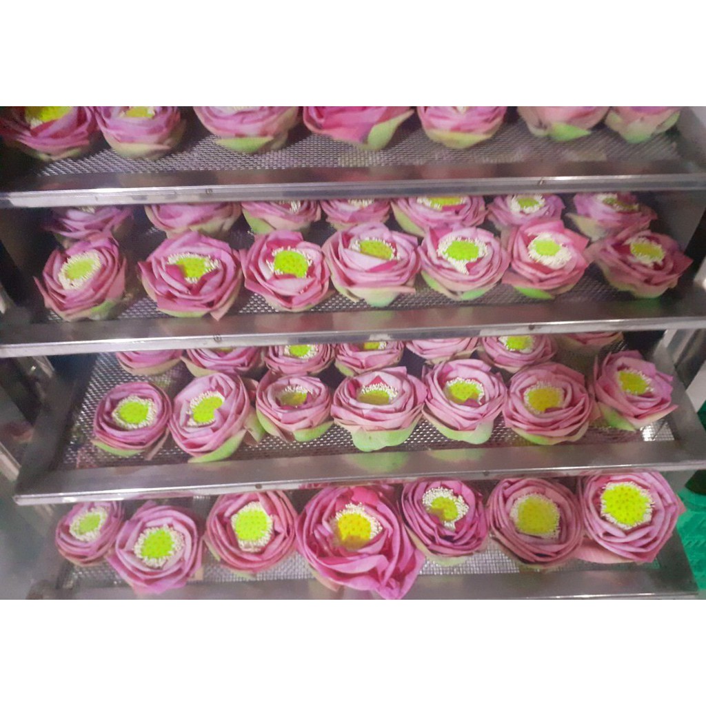 [Mã 267FMCGSALE giảm 8% đơn 500K] Trà Sen Sấy Hút Chân Không - Trà Hoa Sen - Hàng Chính Hãng | BigBuy360 - bigbuy360.vn