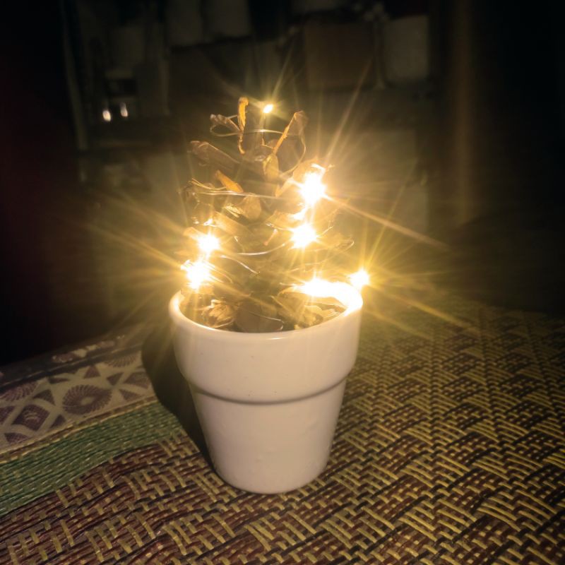 Quả thông trang trí - Có đèn trang trí