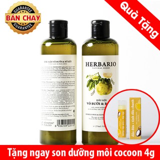Dầu gội bưởi và bồ kết Herbario 270ml Tặng 1 son dưỡng