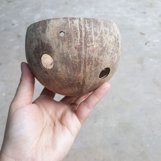 Gáo dừa không hoa văn (thanh lý)