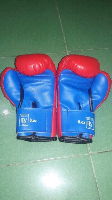 Găng boxing everlast