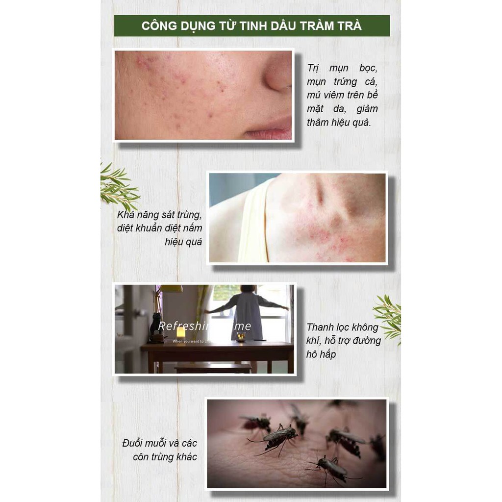 Tinh Dầu Thiên Nhiên Tràm Trà Nomad Essential Oils Tea Tree