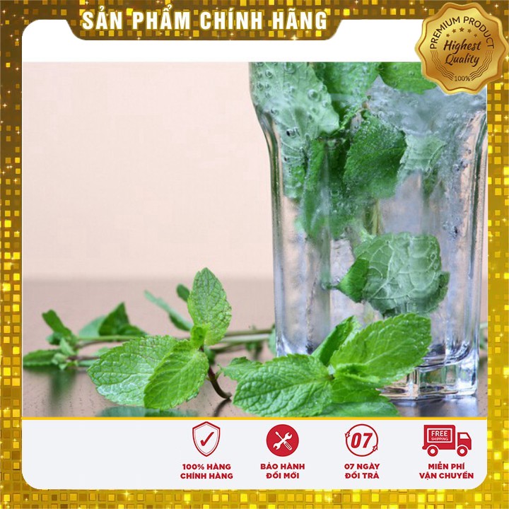 Hạt giống Rau Húng Lủi