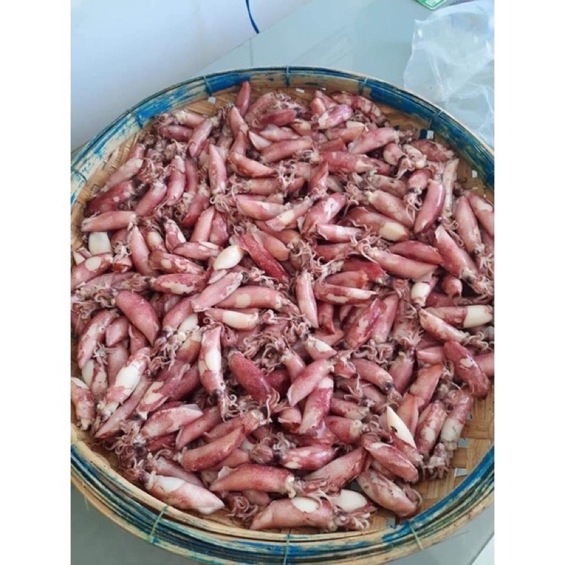 Mực hấp thuyền nghệ an 1kg (giao tphcm)