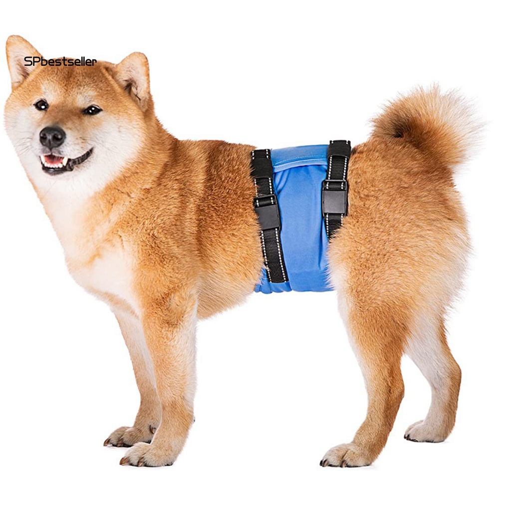 Tã Quần Vệ Sinh Dễ Sử Dụng Cho Thú Cưng