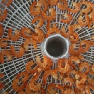 Sa tế tôm và sò điệp cao cấp 🔥