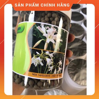 FREE SHIP 500 gr viên Trinh nữ Hoàng Cung Cao xạ đen CHÍNH HÃNG