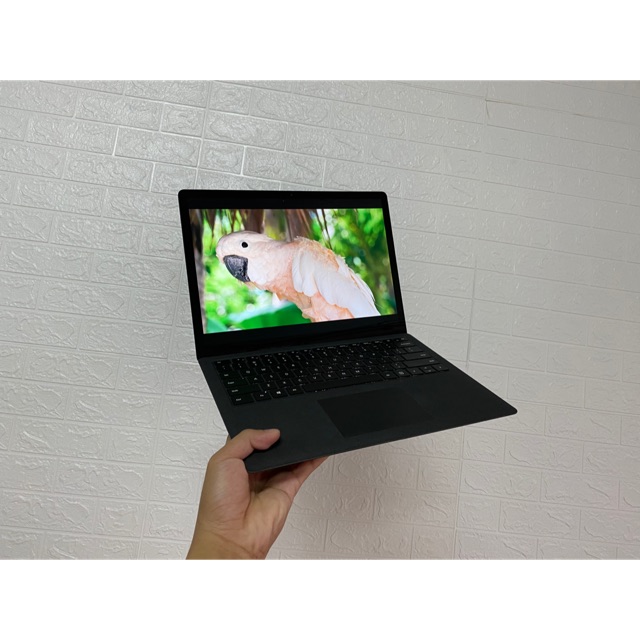 Surface Laptop 2 - Laptop doanh nhân cao cấp