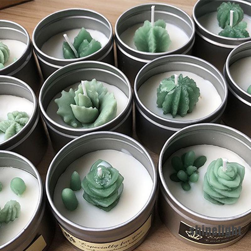 Khuôn Làm Bánh Chất Liệu Silicone Hình Cây Xương Rồng 3d