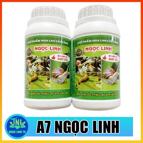 A7 XỬ LÝ ỐC SÊN NGỌC LINH