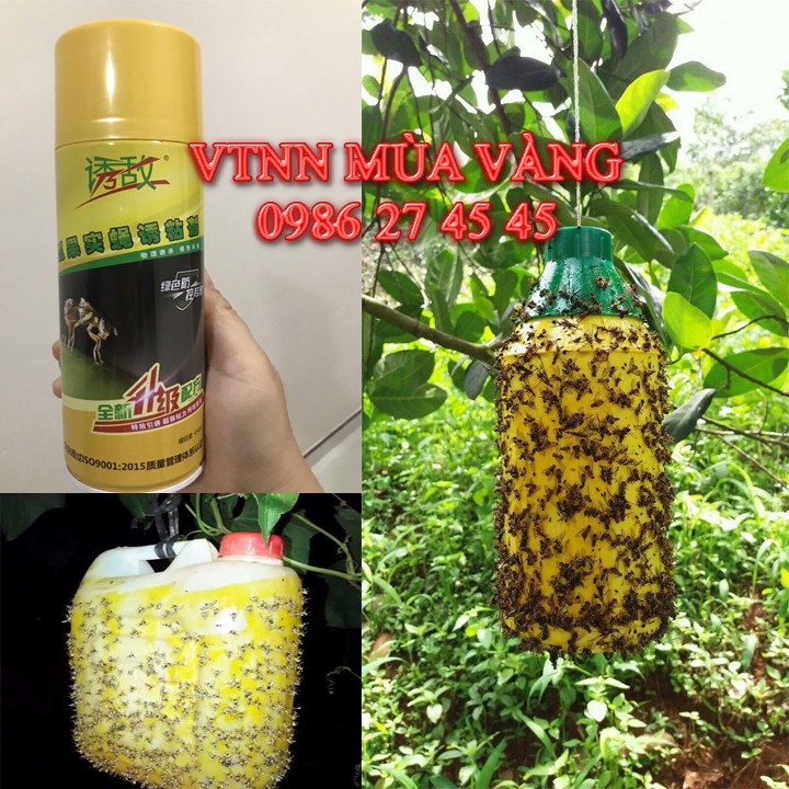 Keo xịt bẫy côn trùng và ruồi vàng hiệu quả nhất hiện nay chai 450ml