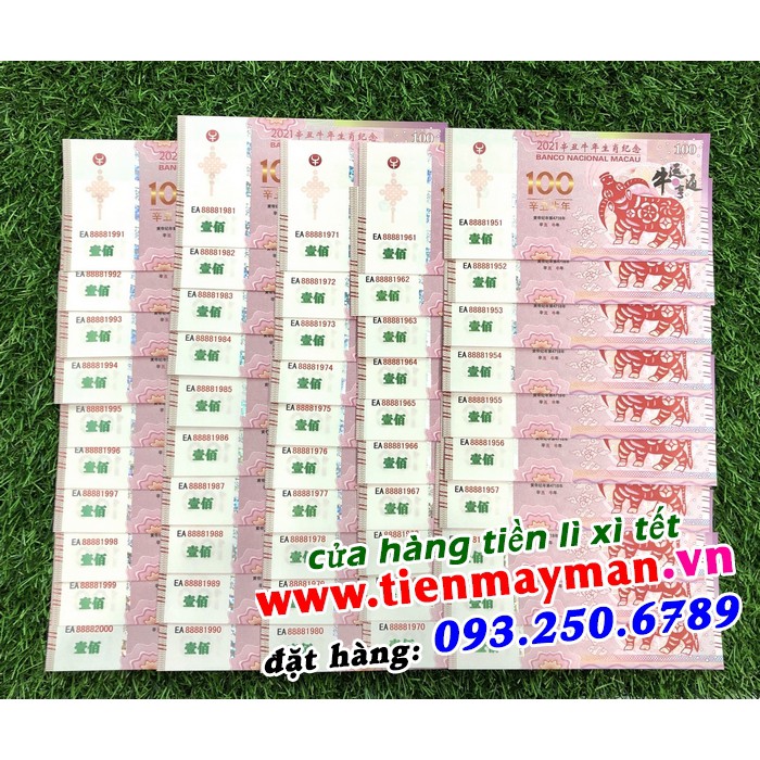 Tiền hình con trâu Macao 100 lì xì tết Canh Tý - tặng kèm bao lì xì tết