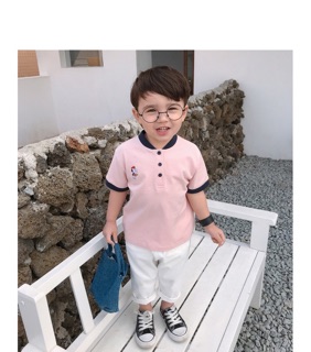Áo Polo cổ tàu