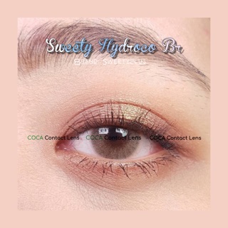 Lens nâu tây SWEETY HYDROCO