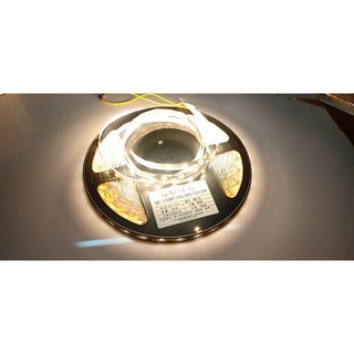 Cuộn Led dây  ZICZAC 12V 2835 60led /120 led
