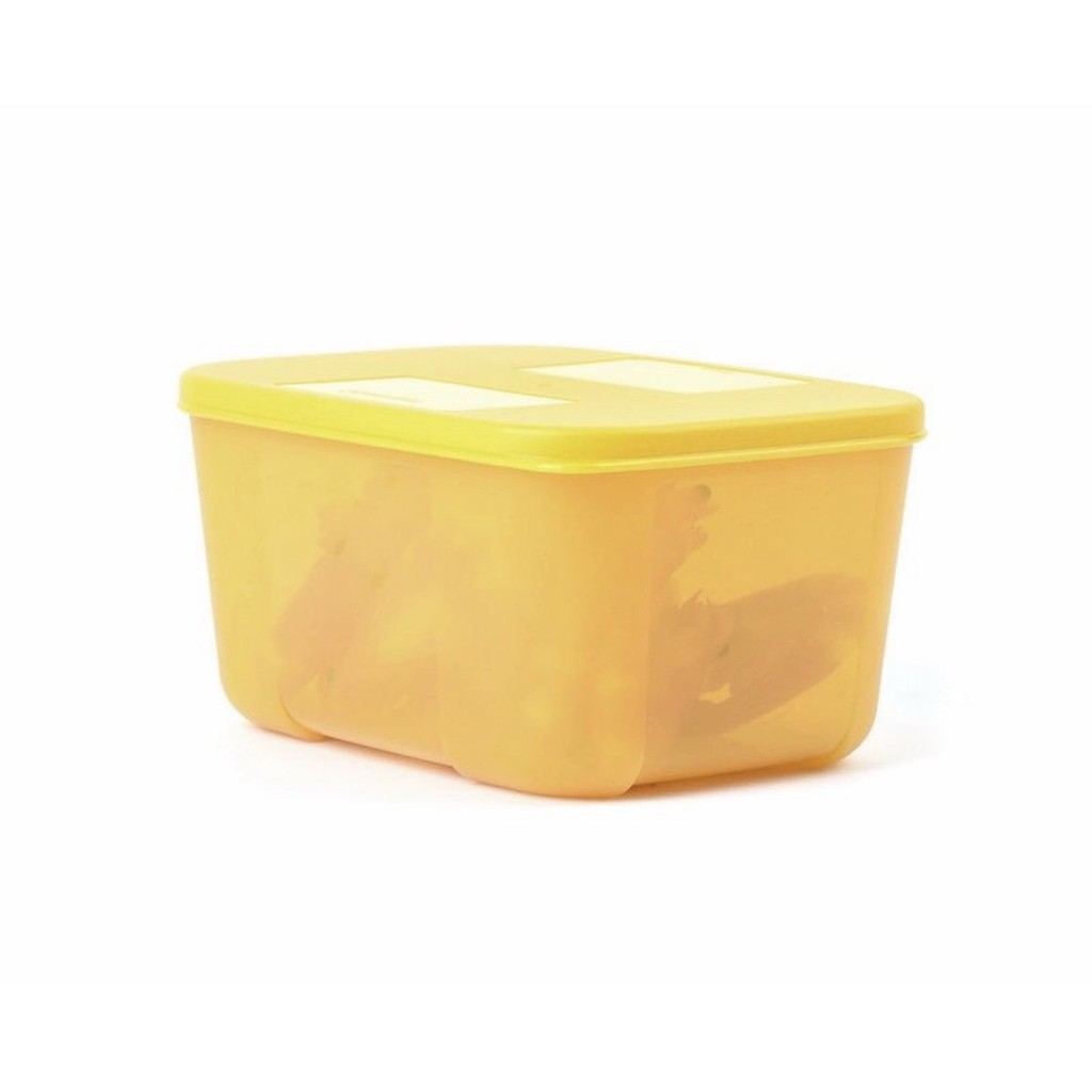 Hộp trữ đông Freezermate Rainbow 650ml Tupperware bảo quản thực phẩm trong ngăn đông an toàn bảo hành trọn đời