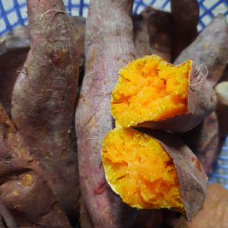 Combo 5kg khoai lang mật Tà Nung