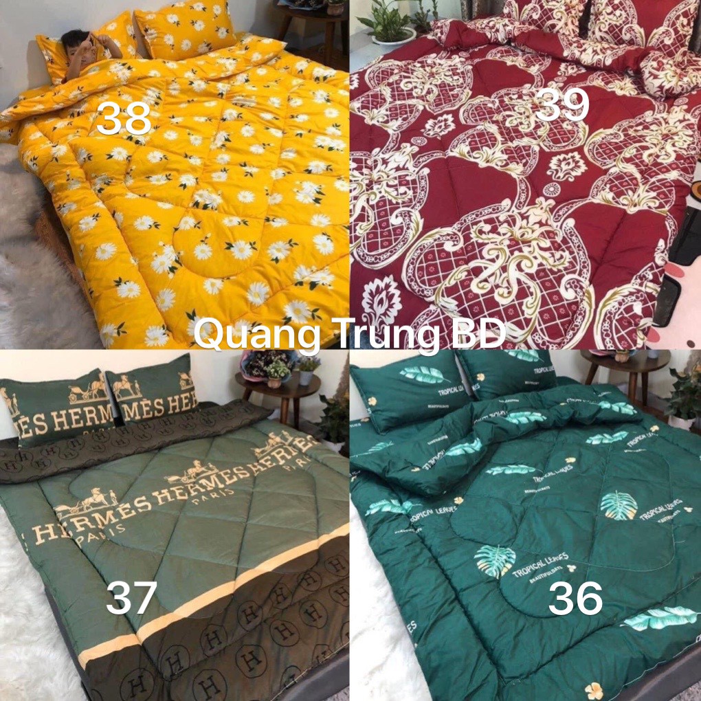 Bộ chăn ga gối 05 món Poly cao cấp Hot nhất 2021 | BigBuy360 - bigbuy360.vn