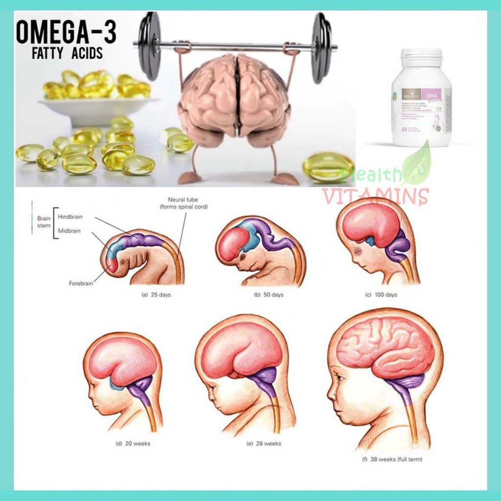 Viên uống Dha bầu Bioisland Úc, 60 viên