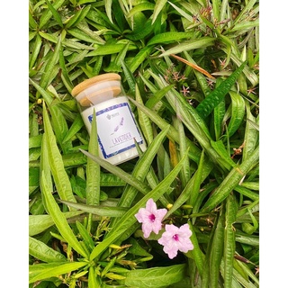 Nến thơm Candle Cup - Mùi Lavender - 100gr