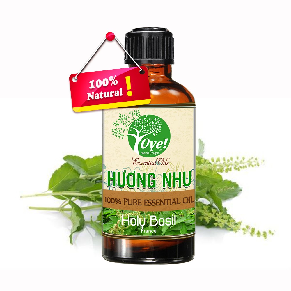 Tinh Dầu Hương Nhu Xông Phòng - Khử Mùi 100ml