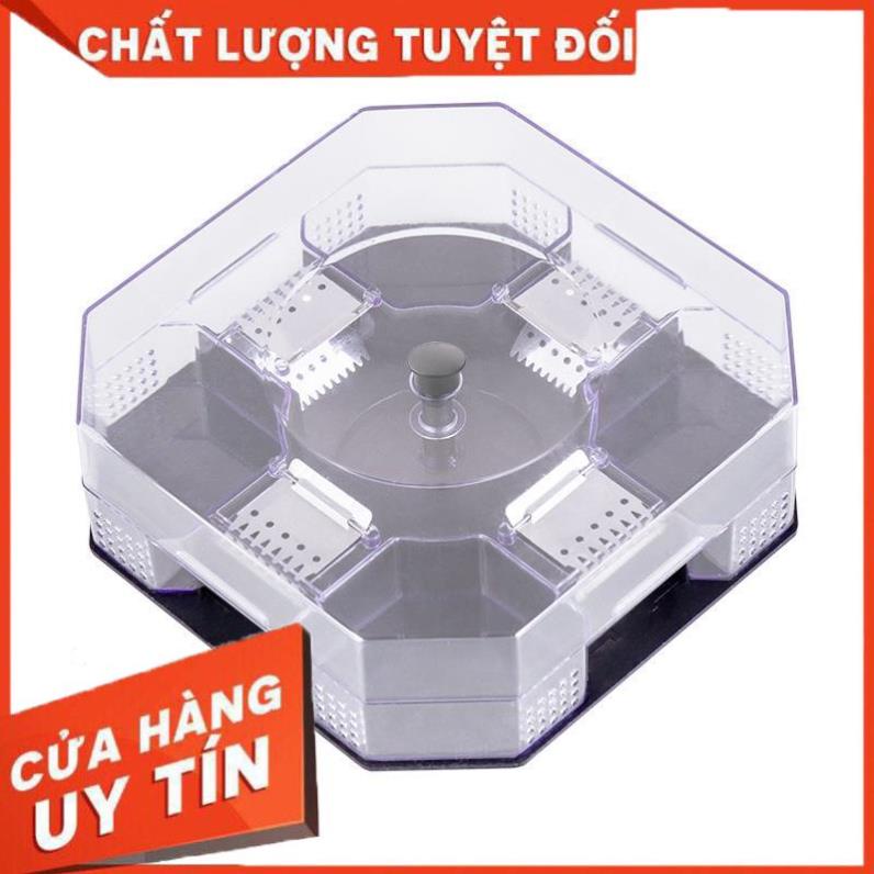(Video Clip) Hộp Bẫy Gián Thông Minh Không Dùng Hóa Chất - Thiết Bị Bẫy Gián, Bắt Gián Bằng Phương Pháp Vật Lý