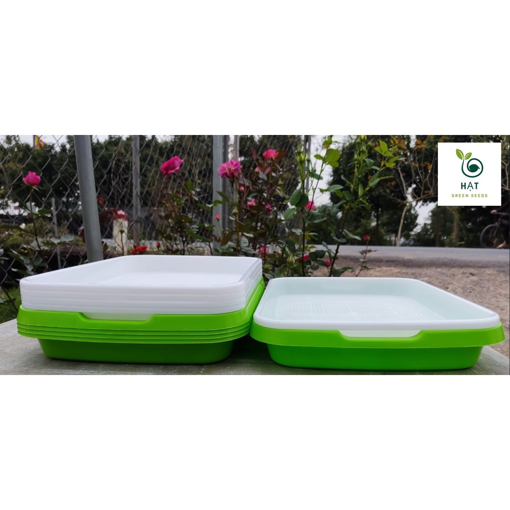 COMBO 5 Khay Trồng Rau Mầm, Giá Đỗ Thông Minh Không Cần Giá Thể