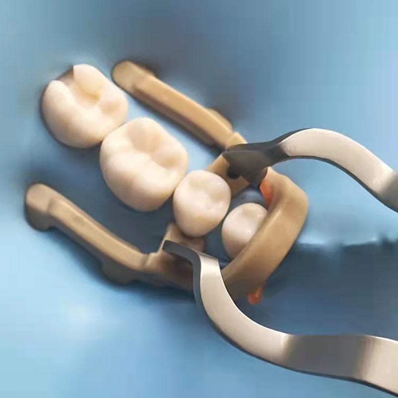 Kẹp Cao Su Dài / Ngắn Chuyên Dụng Cho Nha Khoa