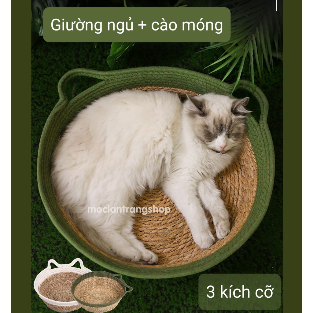 Ổ mèo nằm ngủ và cào móng bằng cói đan thoáng khí nhiều kích cỡ, giường ngủ cho mèo chó bốn mùa hè đông