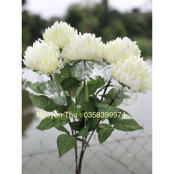 Hoa cúc giả - hoa cúc 1 bông