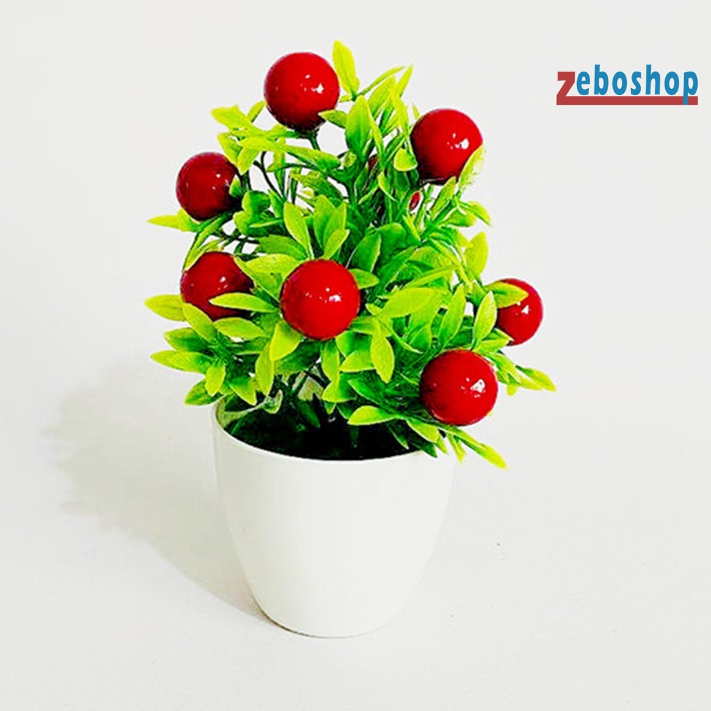 Cây Bonsai Mini Bằng Nhựa Dùng Trang Trí Sân Vườn