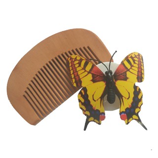 Lược mini gỗ chải đầu
