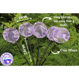 Vợt Cá Ngũ Sắc , Vớt Cá Bột , Show Cá