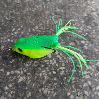 NHÁI HƠI DẤU LƯỠI CHUYÊN CÂU CÁ LÓC